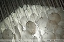 Фотография перламутровой люстры, фотография светильника, фото светильника, фото подвесной люстры, фото люстры из ракушек, фото дизайнерской люстры